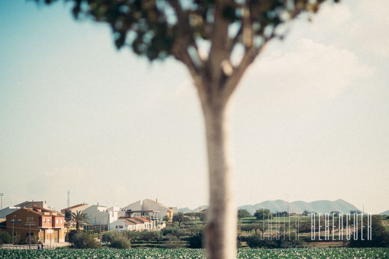 Fotos de Bodas Finca Buenavista en Murcia