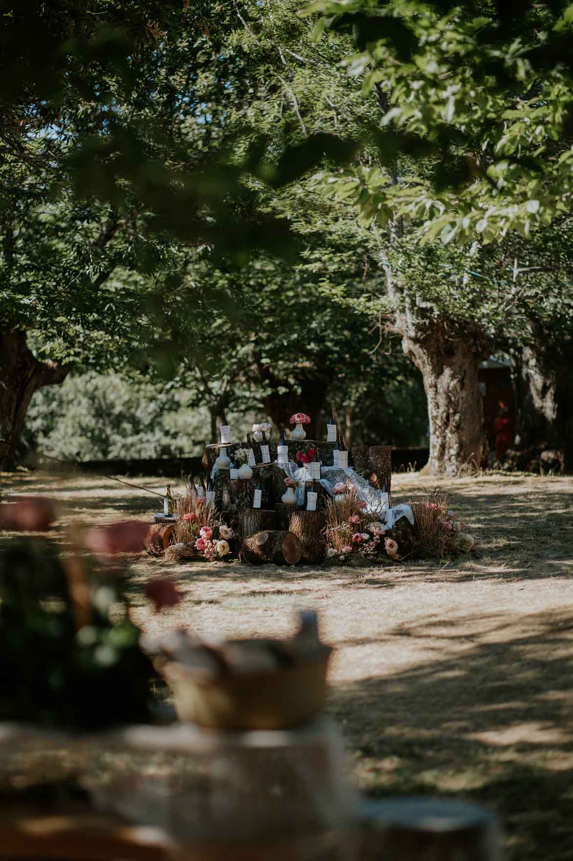 BODA PUEBLA DE SANABRIA ZAMORA