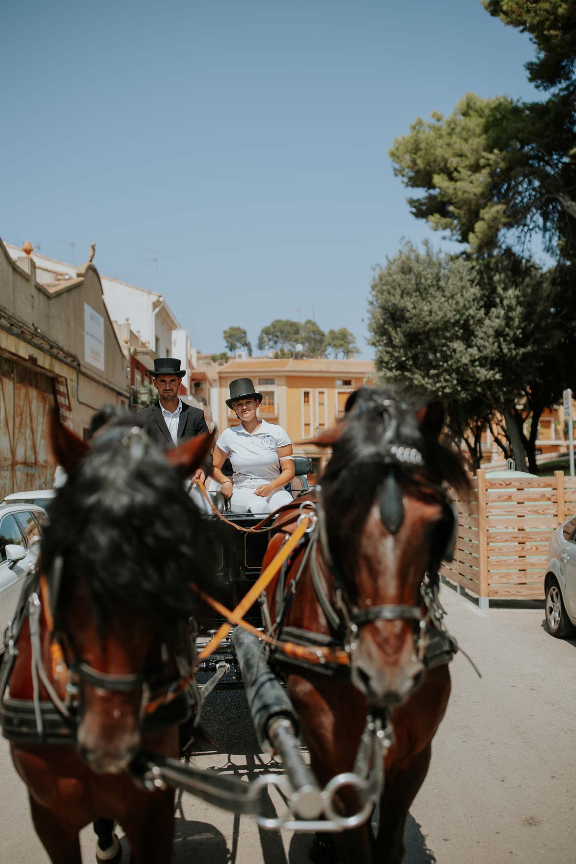 Boda con Carruaje de Caballos