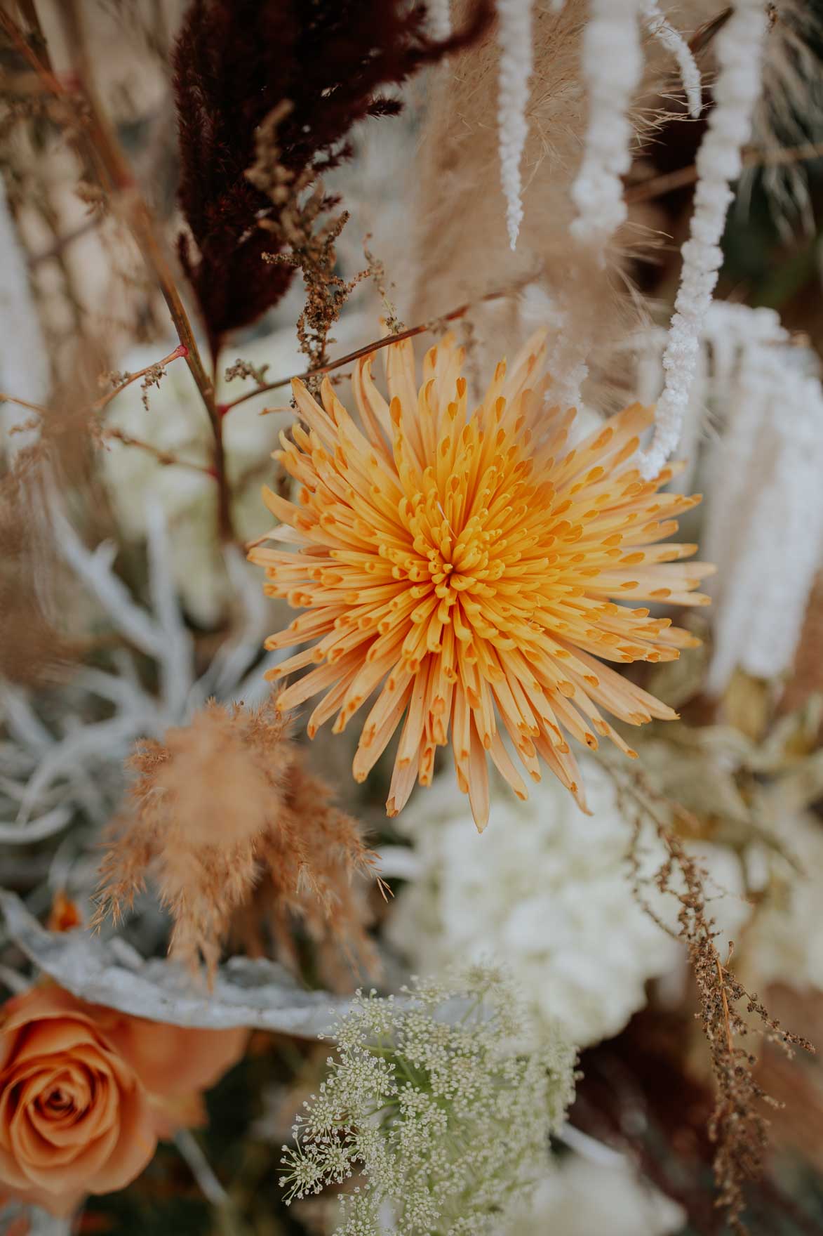 CATALINA TERCERO FLORISTERIA