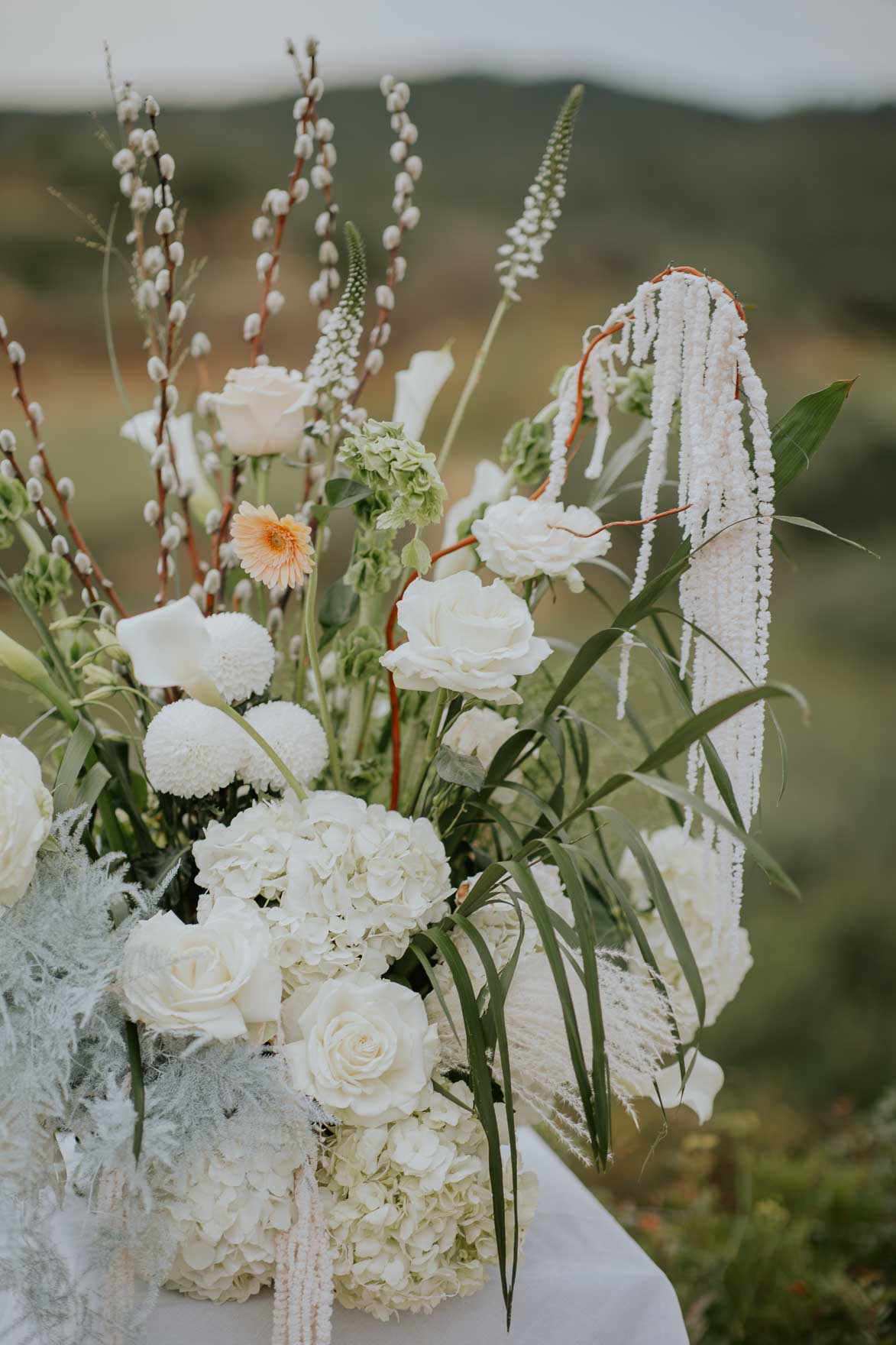 Floristeria Don Diablo